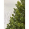 Можжевельник стройный TRIUMPH TREE100% литая 185 см зеленый 72243